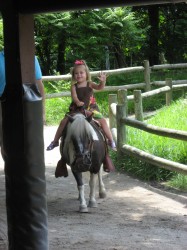 Riding on Candy.