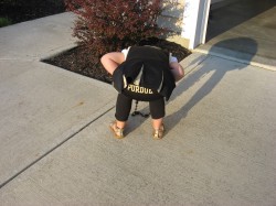 Yes, it says Purdue on her bum:-)